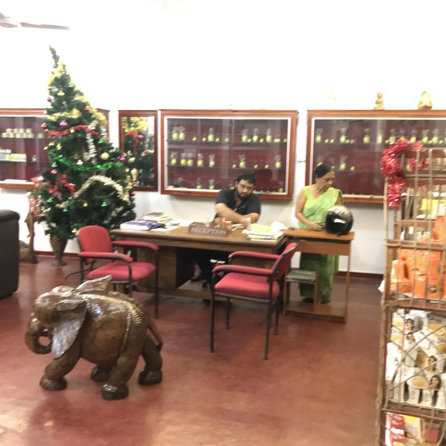 Srilanka Ayurveda Hotel Hikkaduwa Zewnętrze zdjęcie
